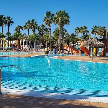 Central With Terrace & Palm Trees 25mb Wifi * Corralejo